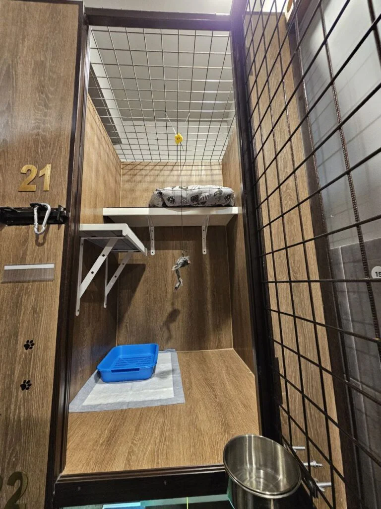Номер Эконом